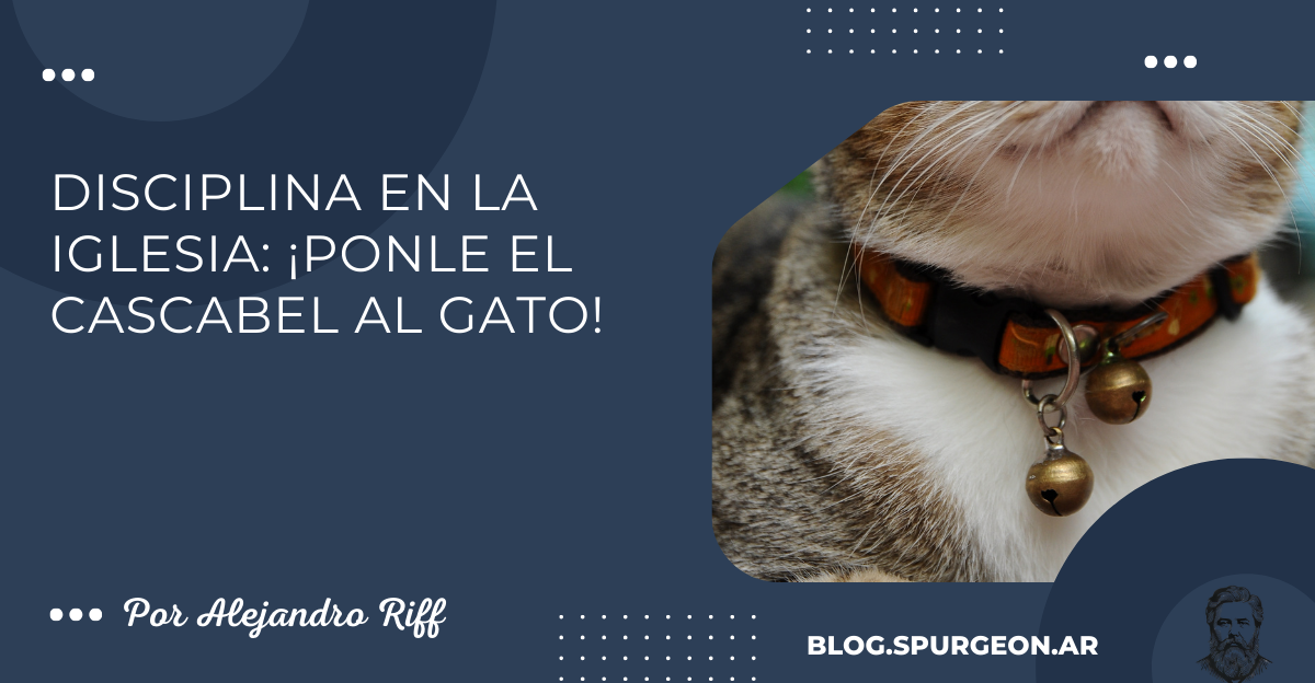 Disciplina en la iglesia: ¡Ponle el cascabel al gato!